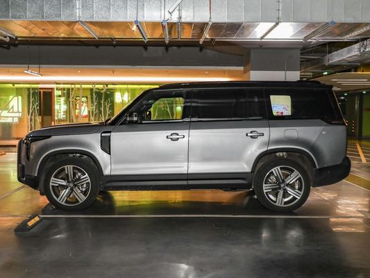 1600-2500CC HACCP Mgnt Certification 2023 Enjoy Edition SUV a 6 posti con cilindrata