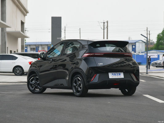 Automobile elettrica a schienale Byd Seagull 2023 Fly per il servizio post-vendita online / locale
