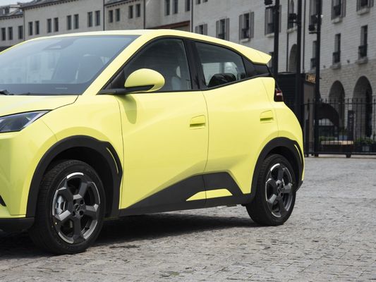 Tipo di carburante elettrico Personalizzazione 2023 Byd Sea Gull 405 Km Veicolo ad energia moderna