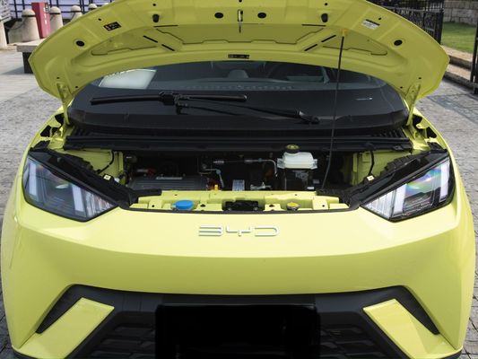 Tipo di carburante elettrico Personalizzazione 2023 Byd Sea Gull 405 Km Veicolo ad energia moderna