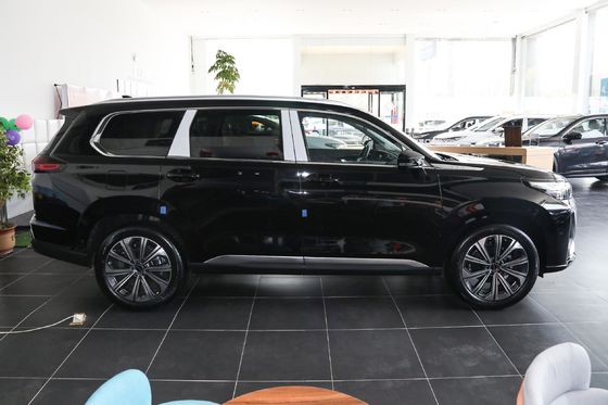 Servizio post-vendita online/locale Exeed Range Rover 2023 400t 4WD Starburst 7-seater