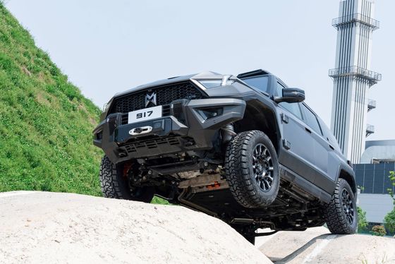 Tipo di carrozzeria chiusa Mhero 917 Auto elettrica SUV ibrida Range esteso Auto SUV grande EV usato