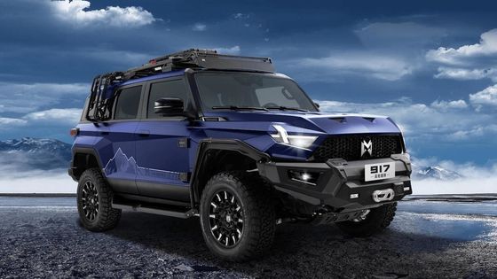 SUV Body Style Mhero 917 Auto elettrica con SUV elettrico 2024 Auto Grande Mini Smart Usata Auto elettrica EV