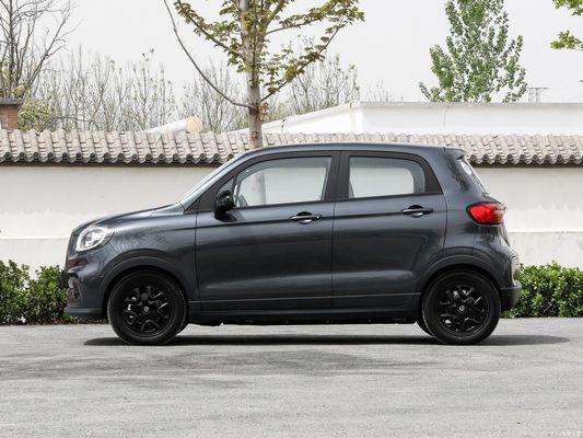 Microcar EV Leap T03 403 Zhixiang Sedile elettrico 4 3620*1652*1605 Performance
