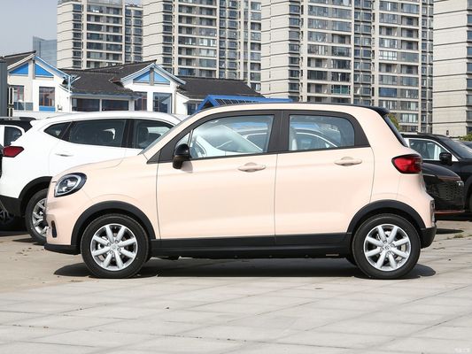 Auto Microcar EV Leap T03 403 Qingxiang 2023 4 posti Servizio post-vendita online/locale