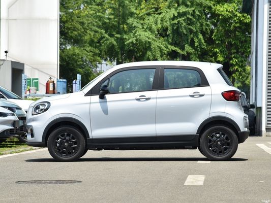 Microcar Car Electric Vehicle EV Leap T03 2023 310 Qingxiang con richiesta personalizzata
