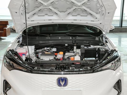 Servizio post-vendita online/locale 2022 Changan Eado EV460 EV Car P0000027 Garantito