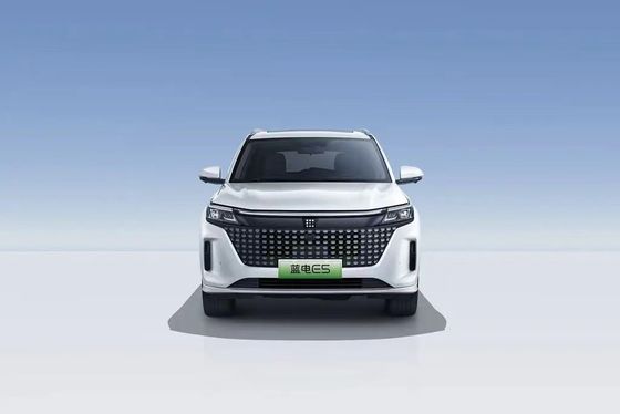 Landian E5 2024 Honor Edition 100km Automatico Luxury 5 posti con servizio online