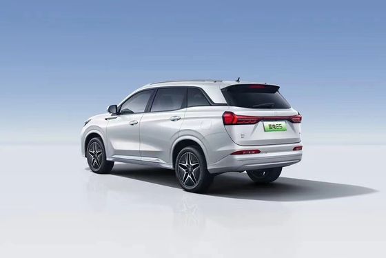 Landian E5 2024 Honor Edition 100km Automatico Luxury 5 posti con servizio online