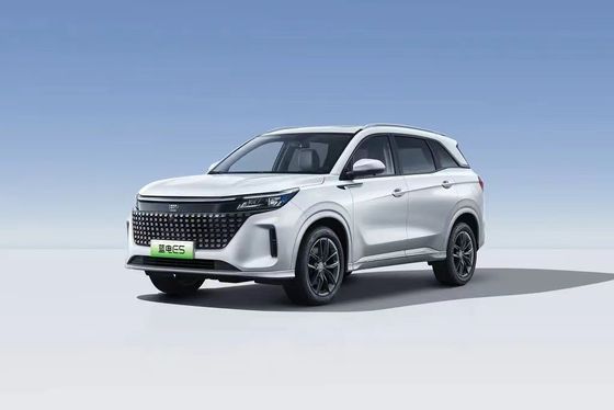 Landian E5 2024 Honor Edition 100km Automatico Luxury 5 posti con servizio online