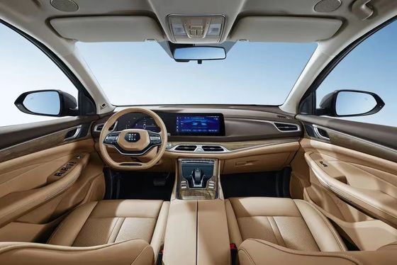 Landian E5 2024 Honor Edition 100km Automatico Luxury 5 posti con servizio online