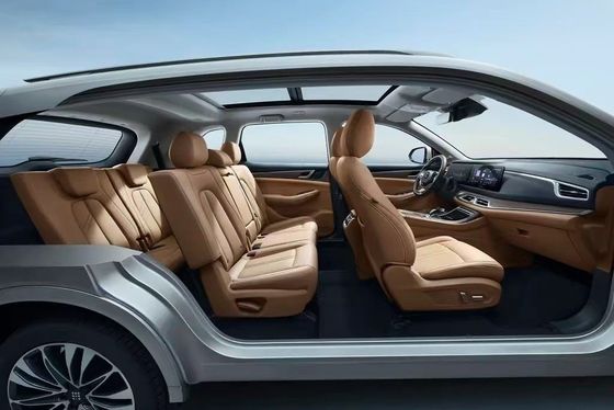 Landian E5 2024 Honor Edition 100km Automatico Luxury 5 posti con servizio online
