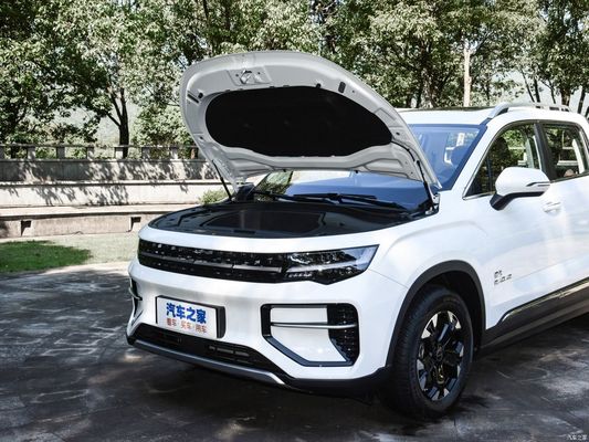 Veicolo elettrico EV Pickup Radar Rd6 2023 550km Radar Chuangke Velocità massima 185km/h