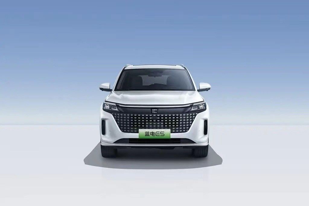 Landian E5 2024 Honor Edition 100km Automatico Luxury 5 posti con servizio online