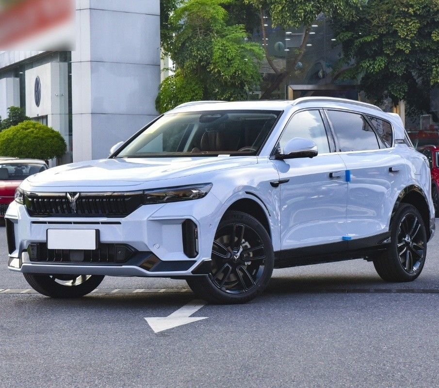 4905x1950x1645 Sedie 5 Ultra-Long Range Energy Electric SUV Car in by Voyah Free 2024